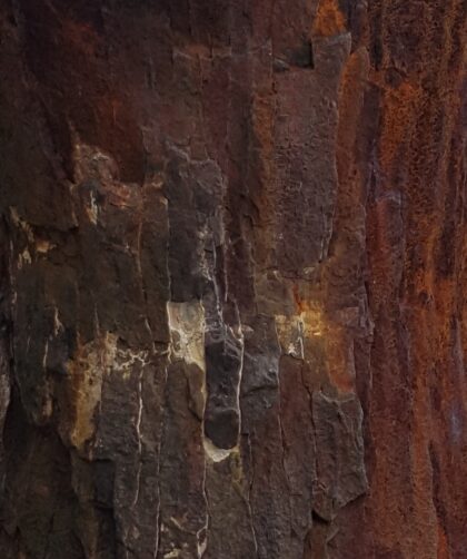 Stahlpfeiler am Hafen, verrostet mit markanten vertikalen Splitterungen. Fotodruck auf Dibond in diversen Formaten