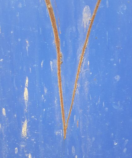 Collection dárt Plaque en ancier bleu avec des lignes de rouille en forme de V. Impression photo La Rochelle sur Dibond en different formats.