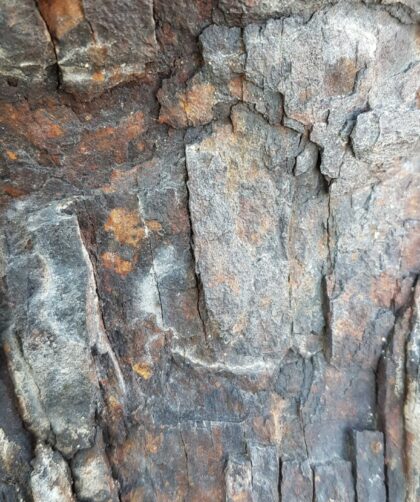 Stahlpfeiler, verrostet mit markanten horizonzalen Splitterungen. Fotodruck auf Dibond in diversen Formaten