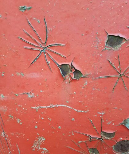 Art Gallerie France Stahlplatte, rot mit markanten Rostmarken und sternförmigen Farbzeichnungen. Fotodruck Rennes auf Dibond oder Forex in verschiedenen Formaten.