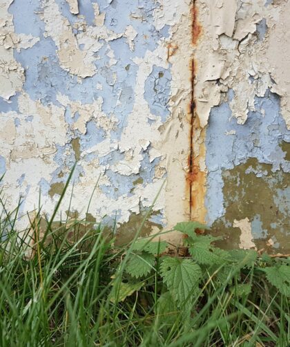 Fotodruck Frejus 6 auf Dibond oder Forex in verschiedenen Formaten. Stahlplatte, blau -weiße Farbablösungen mit senkrechter Rostmarke. Pflanzen im Vordergrund
