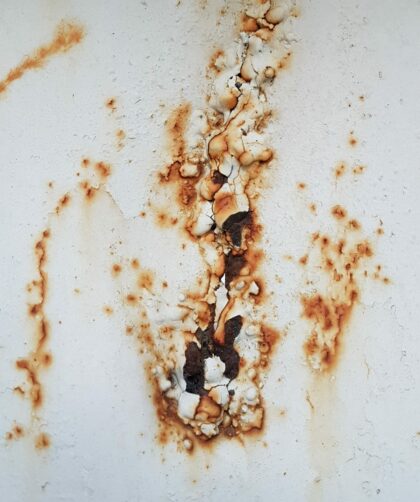 Stahlplatte mit Rost; abblätternde weisse Farbe. Fotodruck auf Dibond oder Forex in diversen Formaten